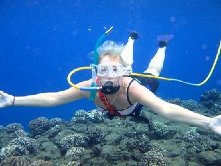 Il diving ha un effetto differente sul corpo della donna